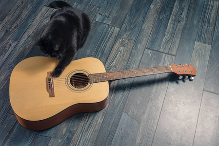 黑猫坐在附近的吉他