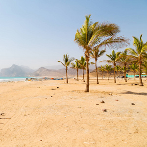 近沙滩天空棕榈和山在阿曼阿拉伯海，山。