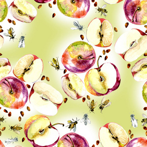 细腻 小 芬芳 古代玫瑰 蜂蜜 质朴 野生蜜蜂，南部 美味 香苹果。水彩画。图