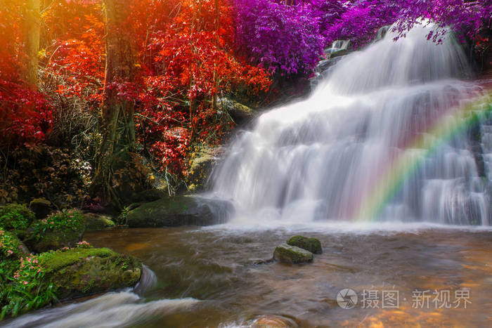美丽的瀑布，在雨林在富浴缸伯山碧