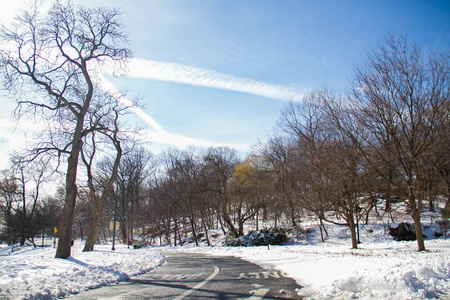 冬季公园里的雪之间的路