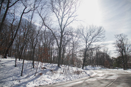 公园里有树木和雪的曲线路