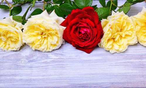 黄玫瑰红玫瑰的花束图片