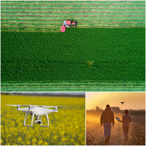 农业工程拍摄从无人机的拼贴画