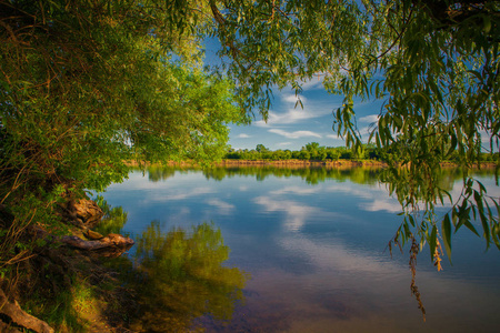 森林湖的景色美丽的风景