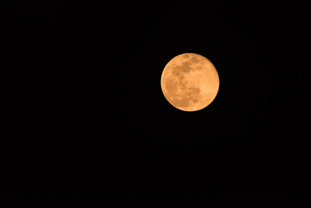 收获的月亮在夜空橙色