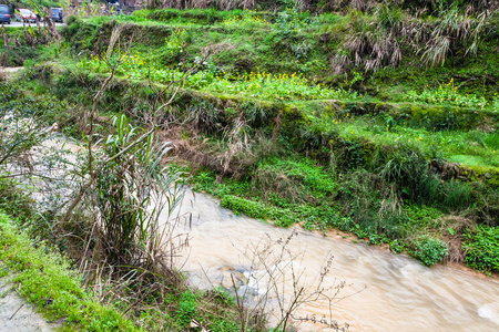 大寨稻田附近的水流图片