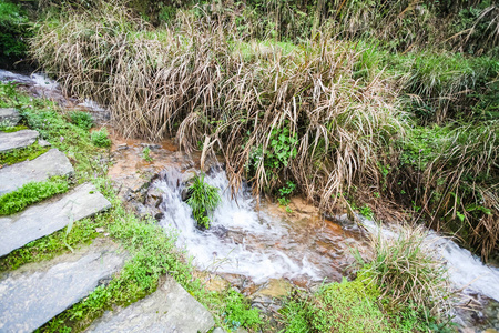 天头寨附近山坡上的台阶和溪水