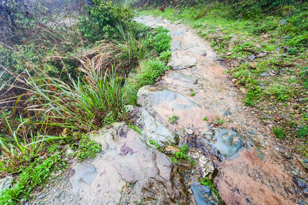 大寨梯田山上的湿路径