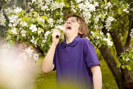 白花苹果树木花园里过敏打喷嚏孩子男孩照片