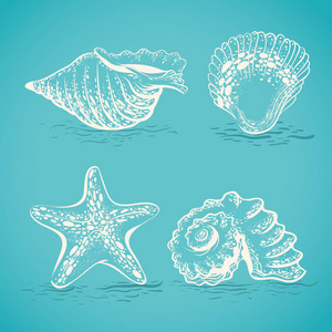 海星素描图片-海星素描素材-海星素描插画-摄图新视界
