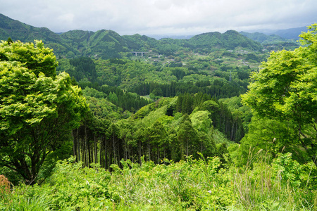 绿色植物山全景和镇从远处查看与春天 t