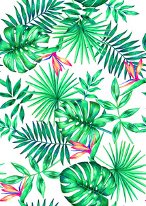 无缝亮手绘水彩热带植物图案图片