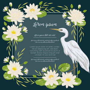 鹭鸟和睡莲。沼泽植物区系和动物区系。设计横幅 海报 卡片 邀请和剪贴簿。在水彩风格植物矢量图