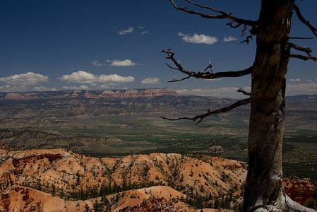 bryce point 俯瞰 l