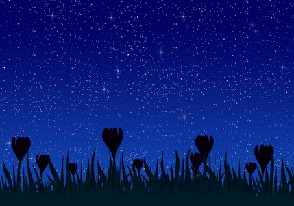 浪漫的黑暗花朵夏天的夜晚景观与明亮的蓝天与发光的星星与草和草地上