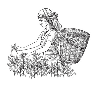缅甸服装图片-缅甸服装素材-缅甸服装插画-摄图新视界