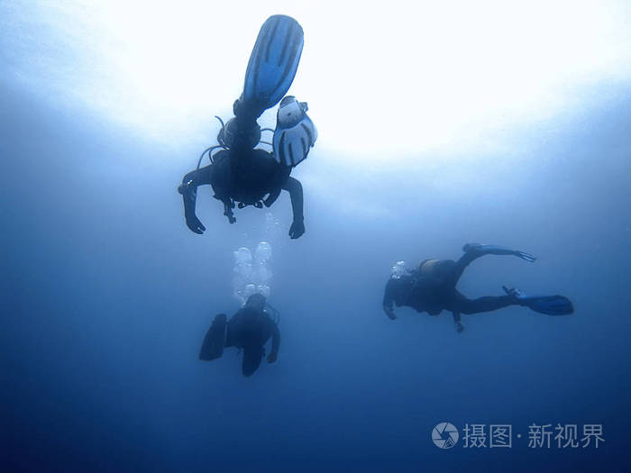 潜水员小组水下背景