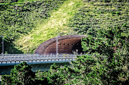 加州太平洋海岸附近的卡布里洛公路隧道