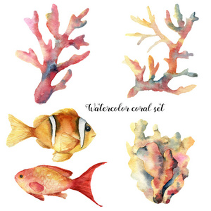 设置与珊瑚和鱼类的水彩画。手绘水下的树枝和孤立的白色背景上的珊瑚鱼。热带海洋生活图。为设计 打印或背景