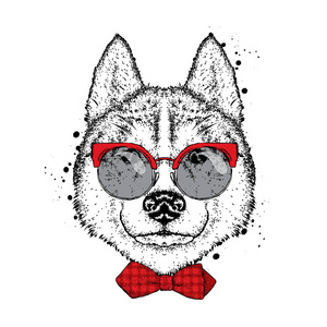 漂亮的小狗戴着眼镜，一条领带。矢量插图的明信片或海报，在衣服上打印。纯种的小狗。赫斯基或狼