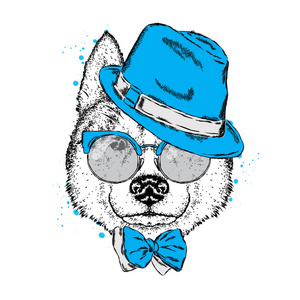 漂亮的小狗在一顶帽子 眼镜 领带。矢量插图的明信片或海报，在衣服上打印。纯种的小狗。赫斯基或狼