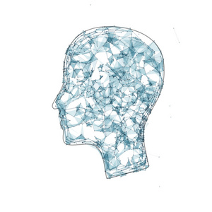 人类的头部形状人类头部三角形照片