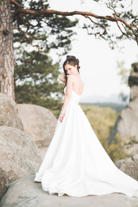 漂亮的新娘合影背景岩石边山