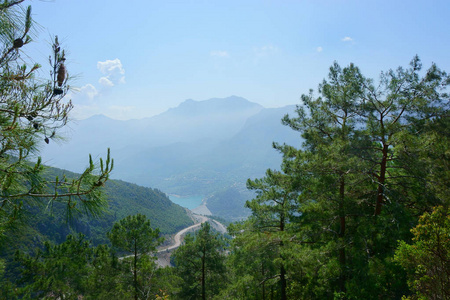 风景林 山 河