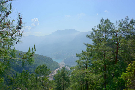 风景林 山 河