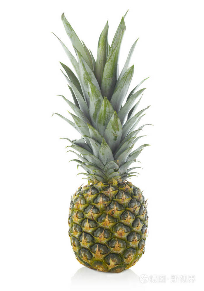 在白色的菠萝