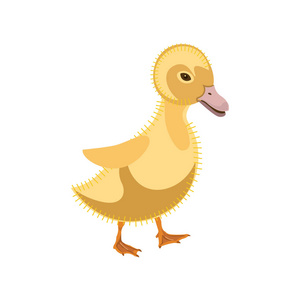 滑稽的小鸭字符照片