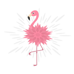 粉红色的火烈鸟图