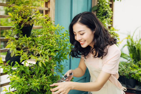 女人在围裙切割布什图片