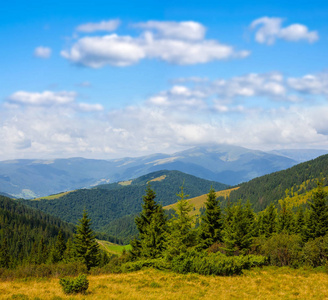 美丽的绿色山全景