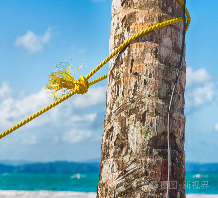 一根绳子从海洋近岸吊床