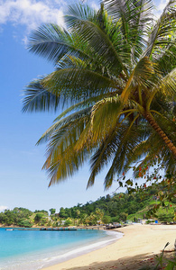 特立尼达和多巴哥共和国多巴哥帕拉图维尔海滩