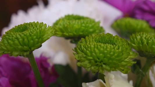 花店使巨大美丽的五彩的花束组成的不同的花