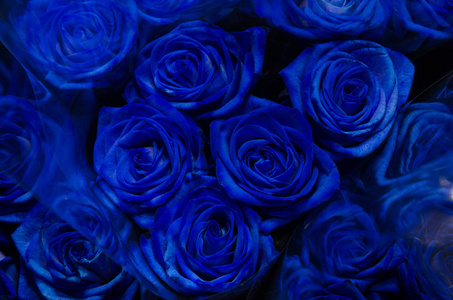 花束中的蓝色玫瑰