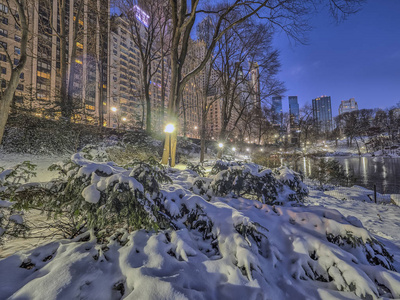 雪后, 纽约市中央公园