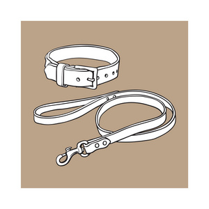 免扣猫简单的棕色皮革宠物,猫,狗扣项圈和皮带照片