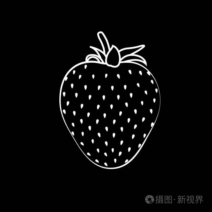 美丽的黑草莓轮廓与白色描边矢量黑色背景