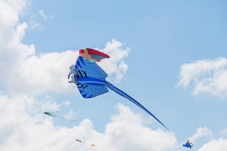 蓝蓝的天空中飘荡的风筝