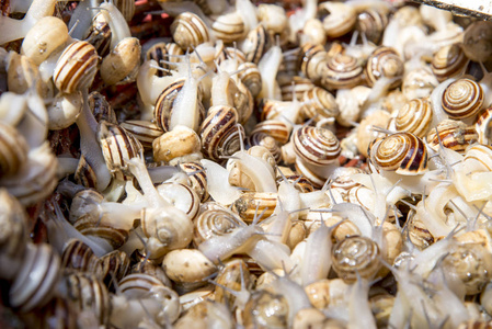 苹果蜗牛的生鲜食品市场