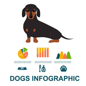 腊肠狗玩图矢量元素设置平面样式符号小狗国内动物插图