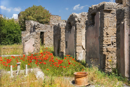 庞贝古城废墟，教科文组织世界文化遗产，坎帕尼亚意大利
