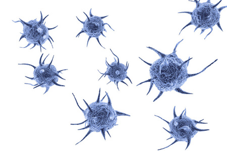 微生物入侵病原微生物寄生虫照片