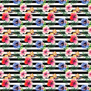 美丽明亮可爱炫彩热带夏威夷花卉草药夏季花纹的热带花芙蓉兰花和棕榈叶上黑色水平线背景水彩手图