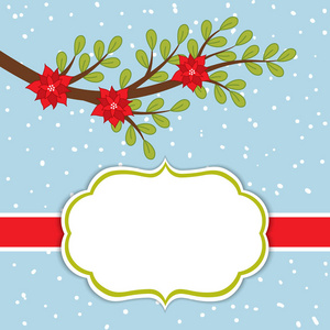 矢量圣诞节和新年卡模板分支和一品红雪背景上。圣诞节和新年卡模板。矢量圣诞一品红