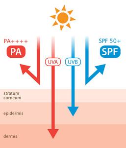 阳光紫外线图片